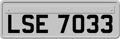 LSE7033