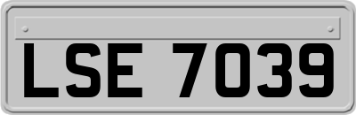 LSE7039