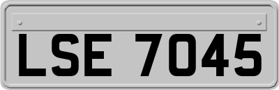 LSE7045