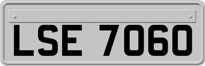 LSE7060
