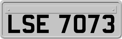 LSE7073