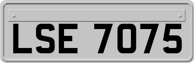 LSE7075
