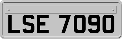 LSE7090