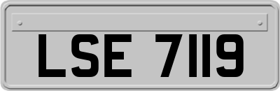 LSE7119