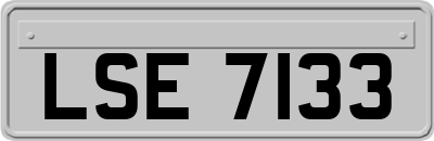 LSE7133