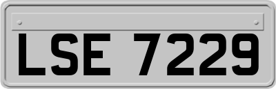 LSE7229