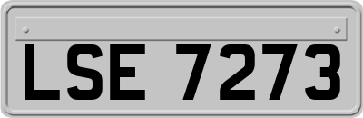 LSE7273