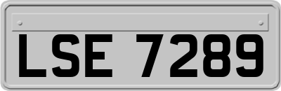 LSE7289