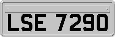 LSE7290