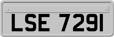 LSE7291