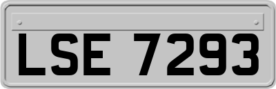 LSE7293