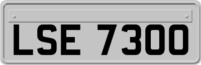LSE7300