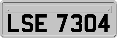 LSE7304