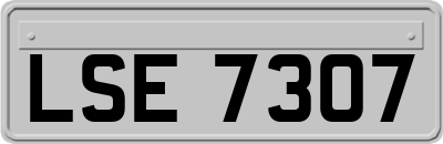 LSE7307