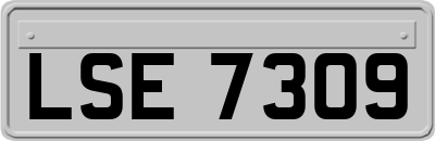 LSE7309