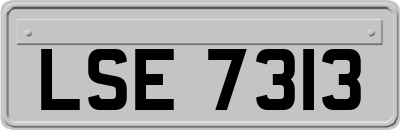 LSE7313