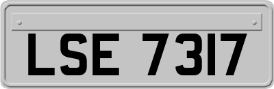 LSE7317