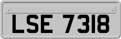 LSE7318