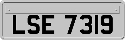 LSE7319