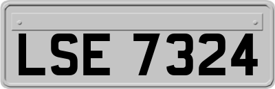 LSE7324