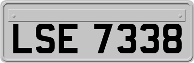 LSE7338