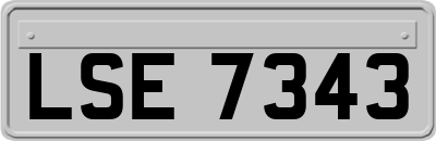 LSE7343