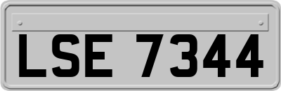 LSE7344