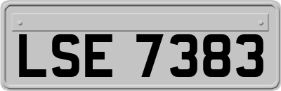 LSE7383