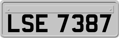 LSE7387