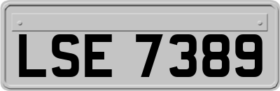 LSE7389