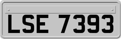 LSE7393