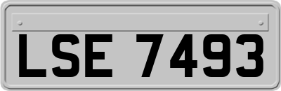 LSE7493