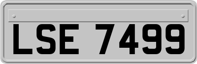 LSE7499