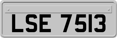 LSE7513