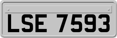 LSE7593