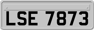 LSE7873