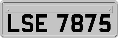 LSE7875