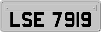 LSE7919