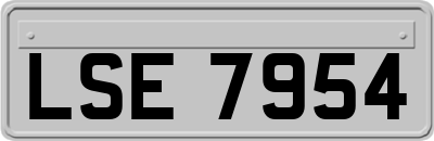 LSE7954