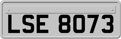 LSE8073