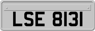LSE8131