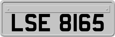 LSE8165