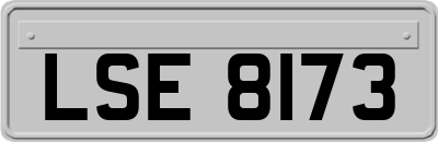 LSE8173
