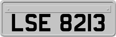 LSE8213