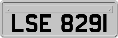 LSE8291