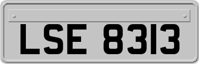 LSE8313