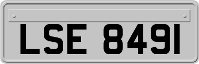 LSE8491