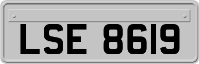 LSE8619