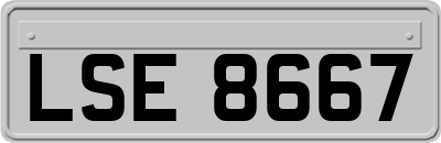 LSE8667