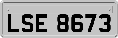LSE8673